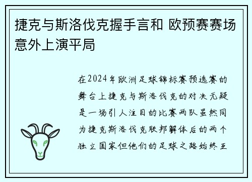 捷克与斯洛伐克握手言和 欧预赛赛场意外上演平局